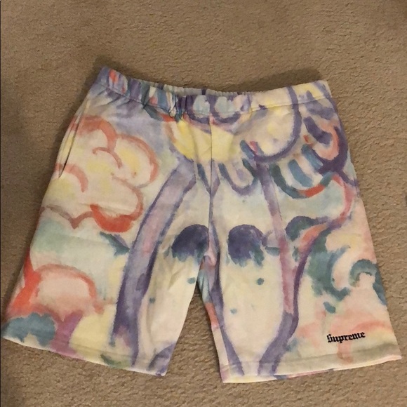 Supreme 18SS shorts landscape sweatshorts multi - Picture 3 of 8